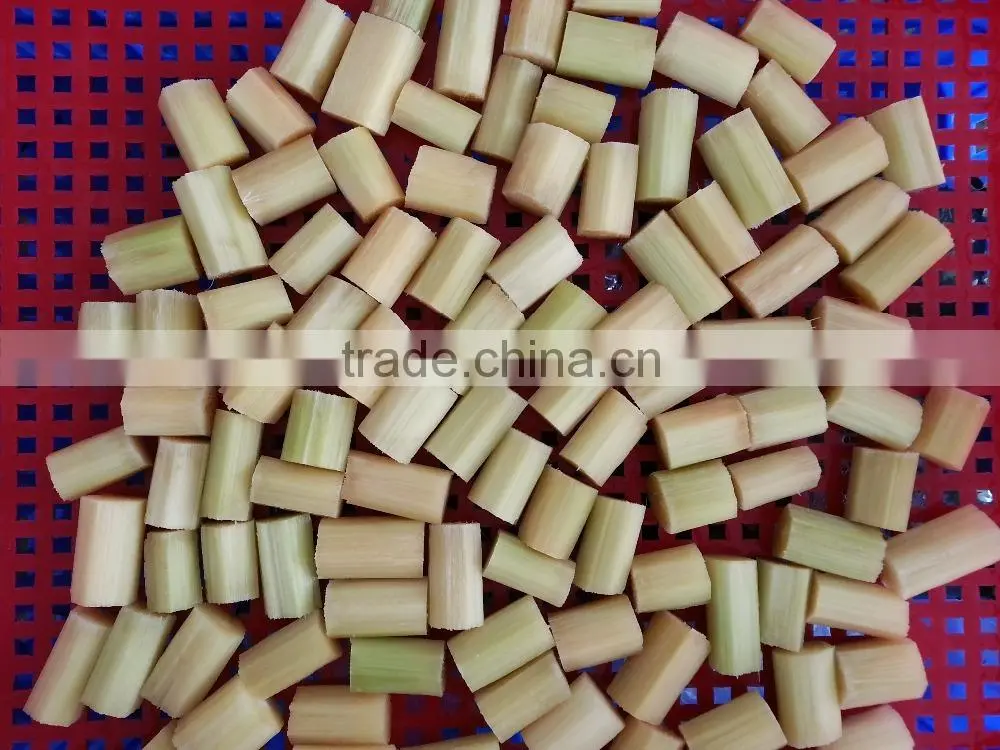 Fresh Sweet Sugarcane from Vietnam/ Sweet Cane Sugar