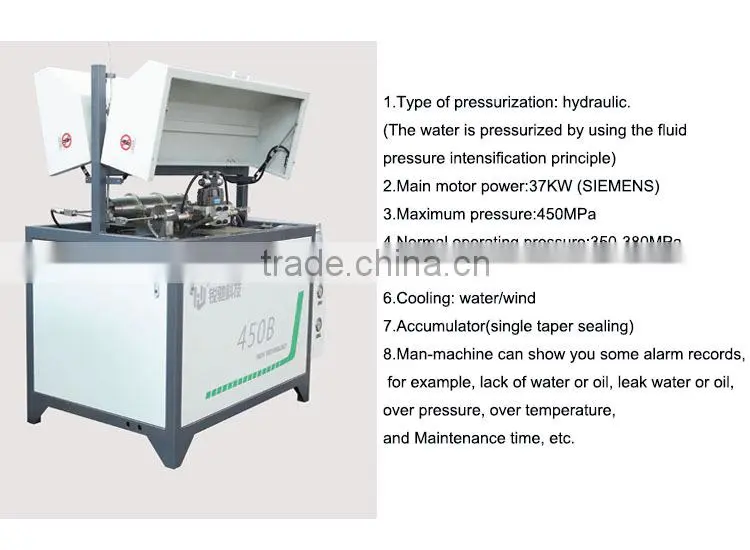 High pressure pump for waterjet cutting machine