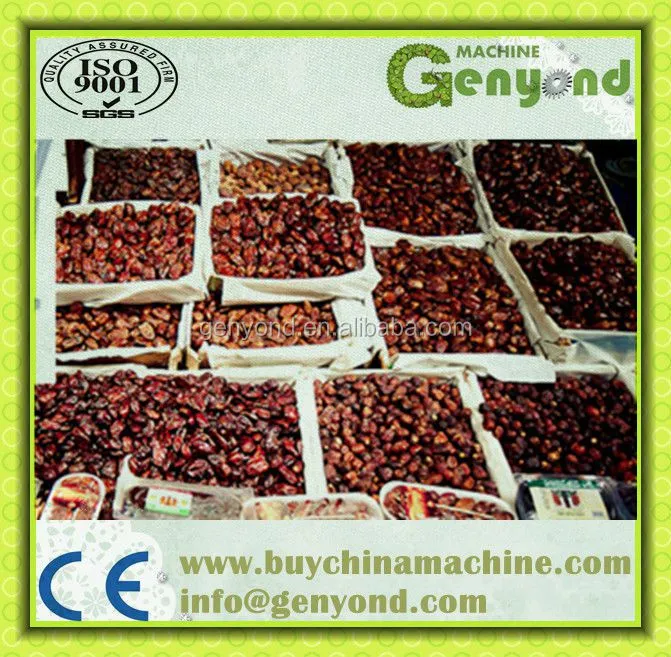 Shanghai Raisin Color Sorting Machine for Raisin Processing