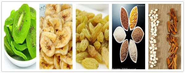 Fruit and Food Microwave Tunnel Dryer/Dehydrator and Sterilizer Machine
