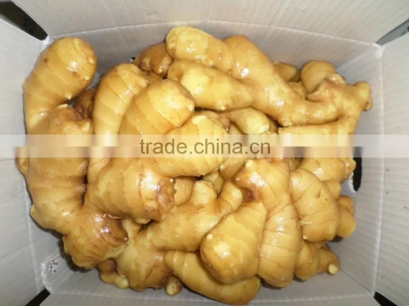 2016 Chinese fresh ginger wet dry half dry skin super quality