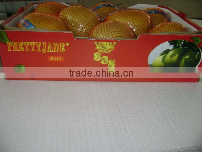 chinese honey pomelo