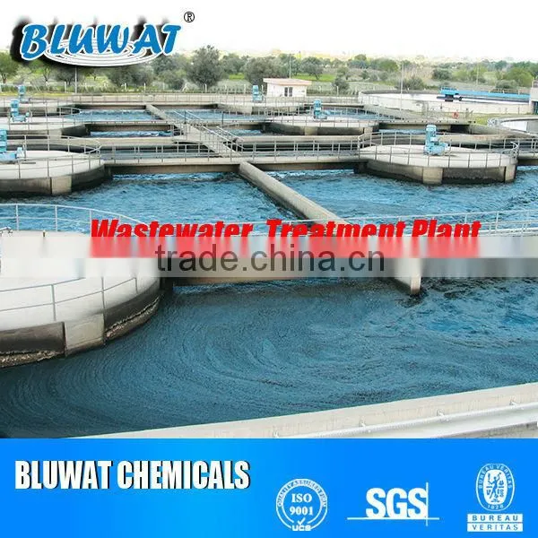 Polyacrylamide Flocculant