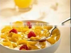 Corn Flakes machine in snack food