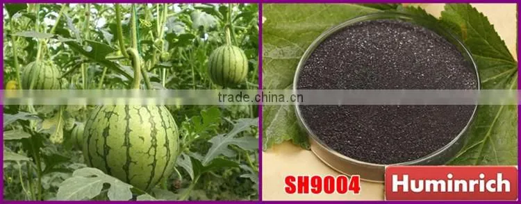 FAQ 35--What Benefit Does Huminrich Organic Fertilizer Apply To Watermelon?