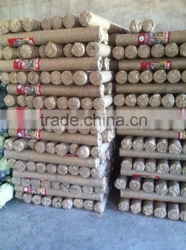 lowest chicken wire mesh roll for poultry cage