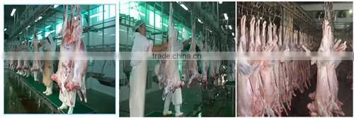 Sheep /goat ritual slaughter system