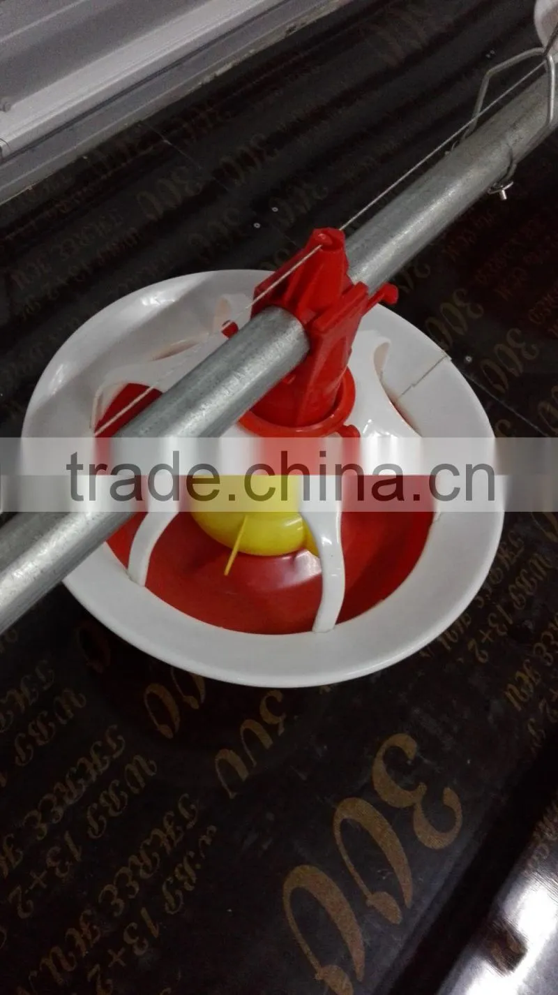 auto duck feeding system