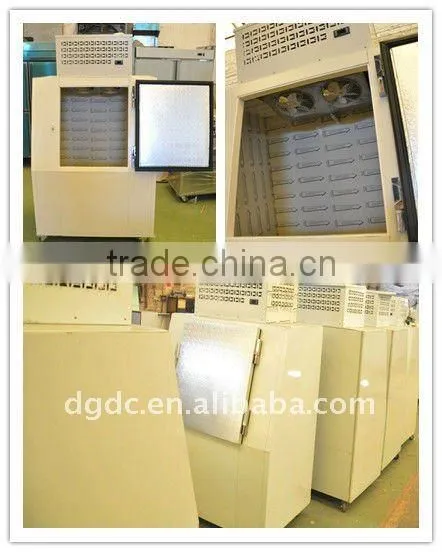 Outdoor refrigerated ice tank /ice storage bin with single door