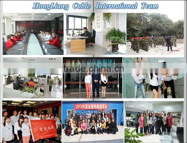 Dedicated manufacturer of 16 Cores 1mm2 2.5mm2 4mm2 Flexible PVC Control Cable