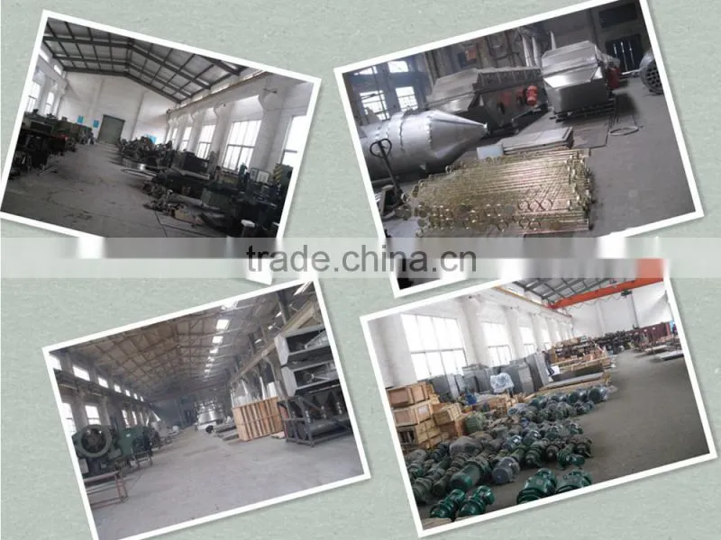 DW Series mesh belt dryer used in orange peel