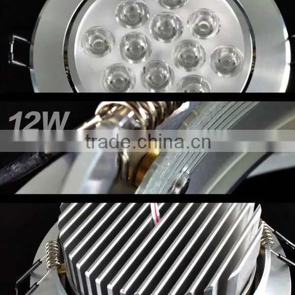 12W LED Down light