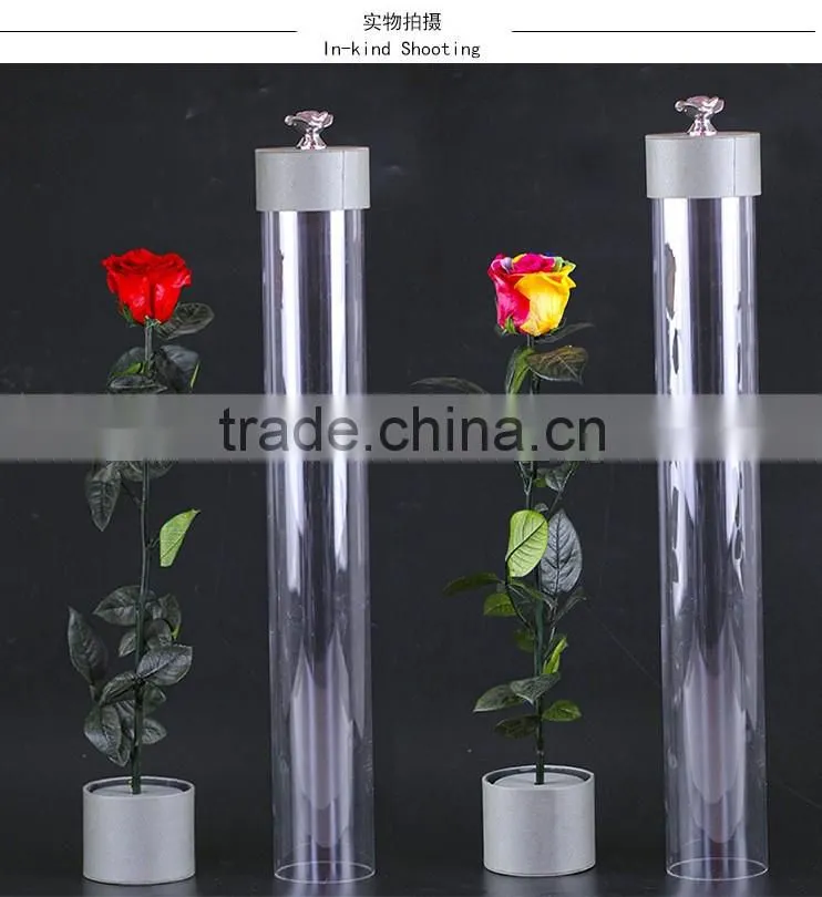 2016 Yiwu Aimee wholesale fresh colorful preserved flower(AM-PF08)