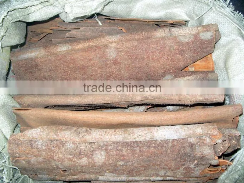 rou gui cinnamon broken cinnamon incense stick