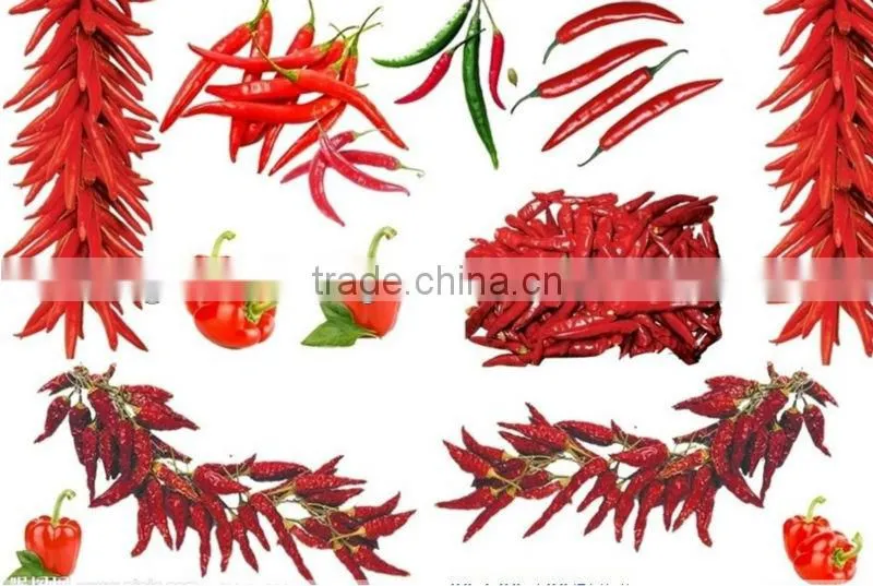 2012 hot red chilli in different package