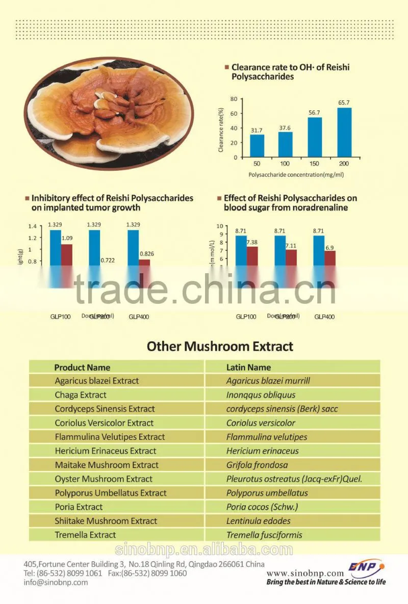 BNP Natural TOP Quality Reishi Spore Powder