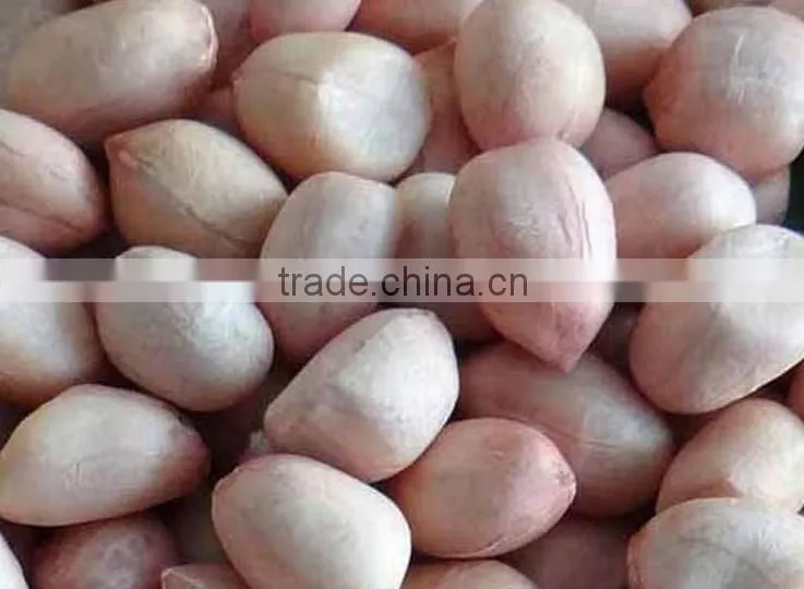 BEST QUALITY PURE FRESH RED PEANUT