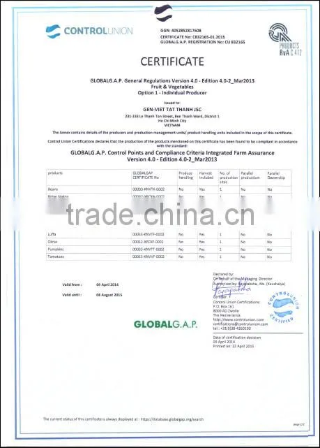 Anti Diabetic Herbal Tea - Panas Karantina with Global Gap Certify
