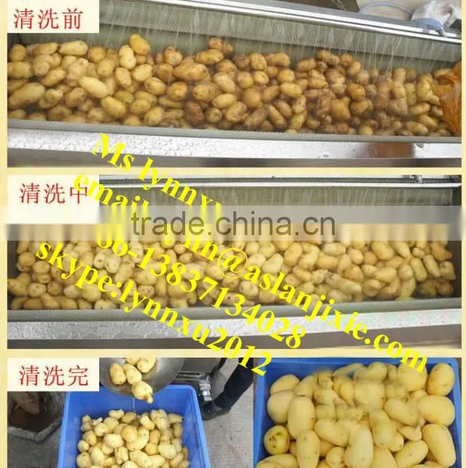 potato ginger washing peeling machine /ginger peeling cleaning machine