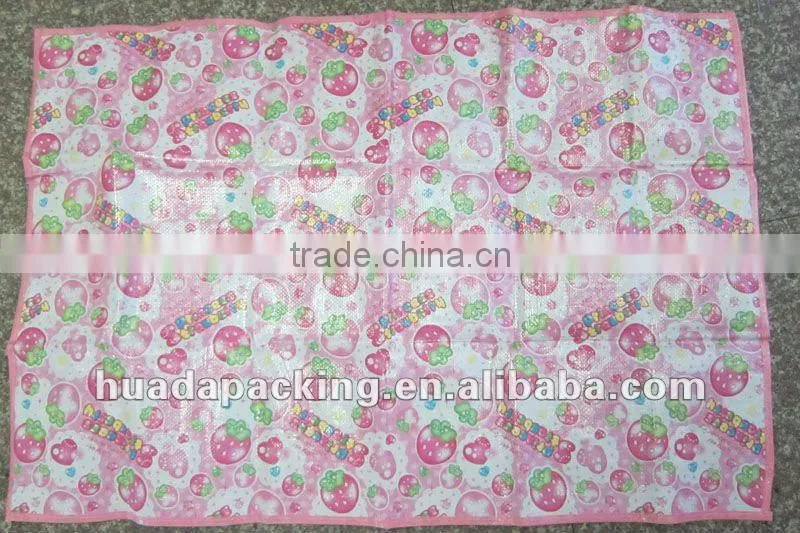 2012 High-quality pp folding plastic beach mat