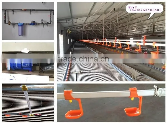 U-BEST full automatic poultry equipment for breeder chicken