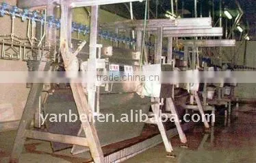Stainless and Plastic Automatic Chicken Slaughter Line