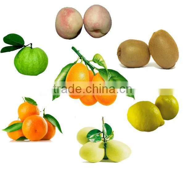 High-Rate Fruit Orange Peeling Machine, Apple Peeling Machine