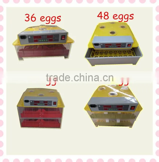 chicken eyes mirror for sale