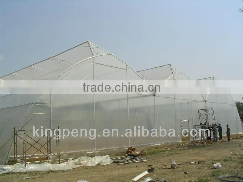 greenhouse kenya