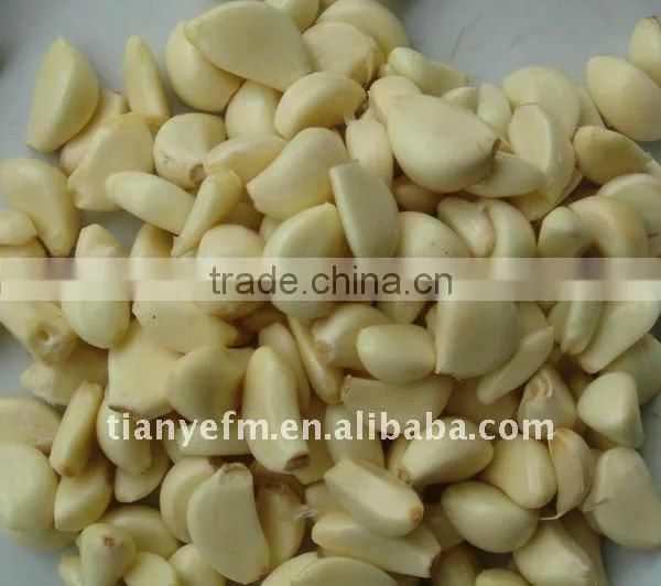 TW-811S Garlic slicer