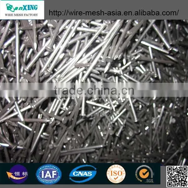 Common Nail price of Iron Nail Factory