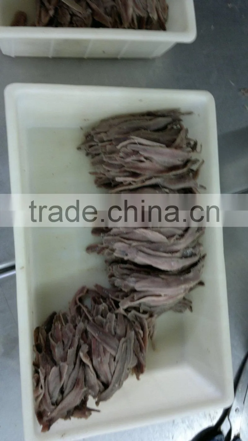 High quality salted anchovy fillet
