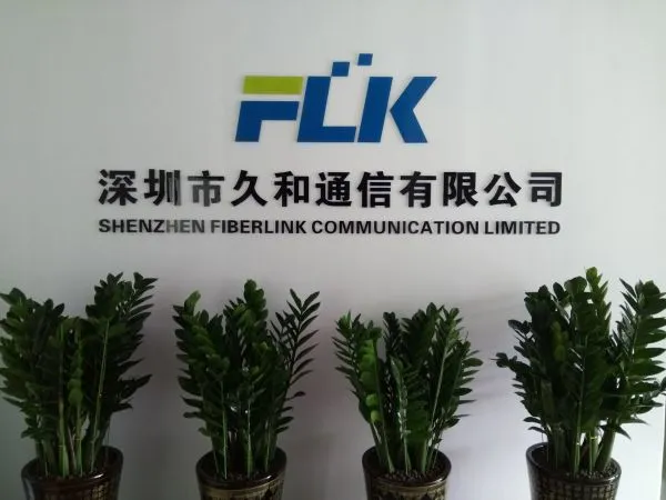 Fiberlink Communication Limited company overview - view 1