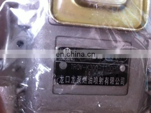 LONGBENG Fuel Injection Pump 5062A BHT6P120R for Weichai Engine