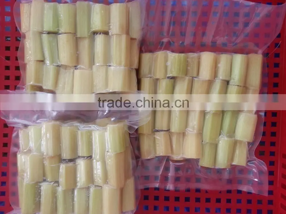 Fresh Sweet Sugarcane from Vietnam/ Sweet Cane Sugar