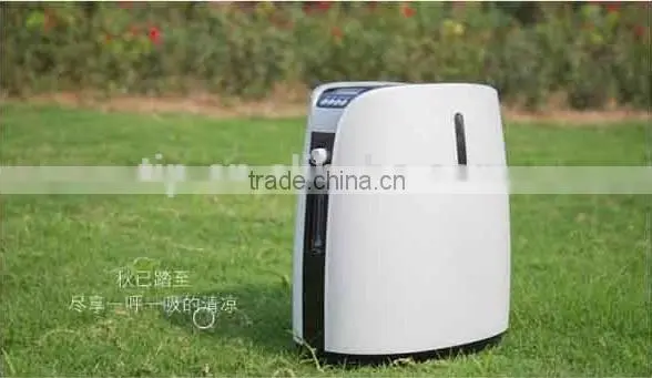 oxygen generator 2L