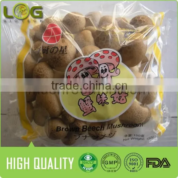 Fresh Brown Shimeji mushroom(hot sale)