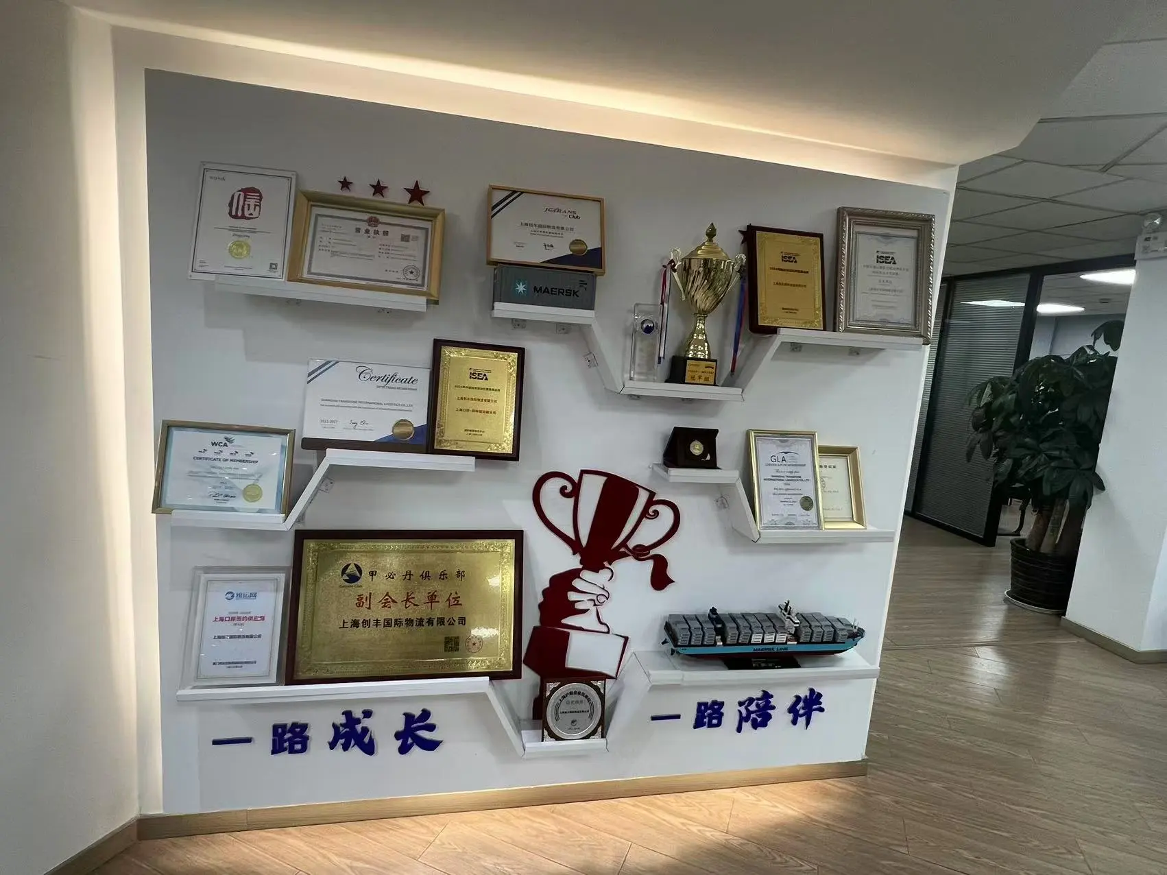 Shanghai Transfone International Logistics Co.,ltd. company overview - view 1