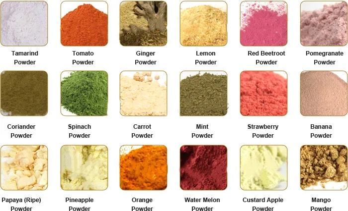 Factory Genyond Spray Dried Freeze Dried Instant Powder & Whole Ground Fruit Powder Making Machine Fruit Flour Production Line