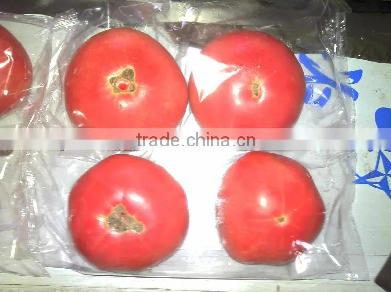 FA590/210 Full Automatic Vegetable and Cake Shrink Wrapping Machines
