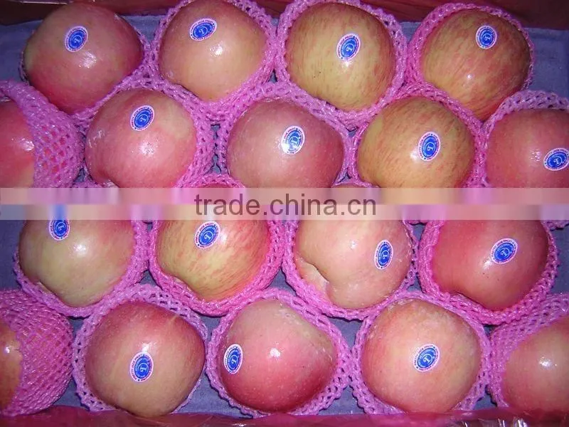 red fresh Fuji apple