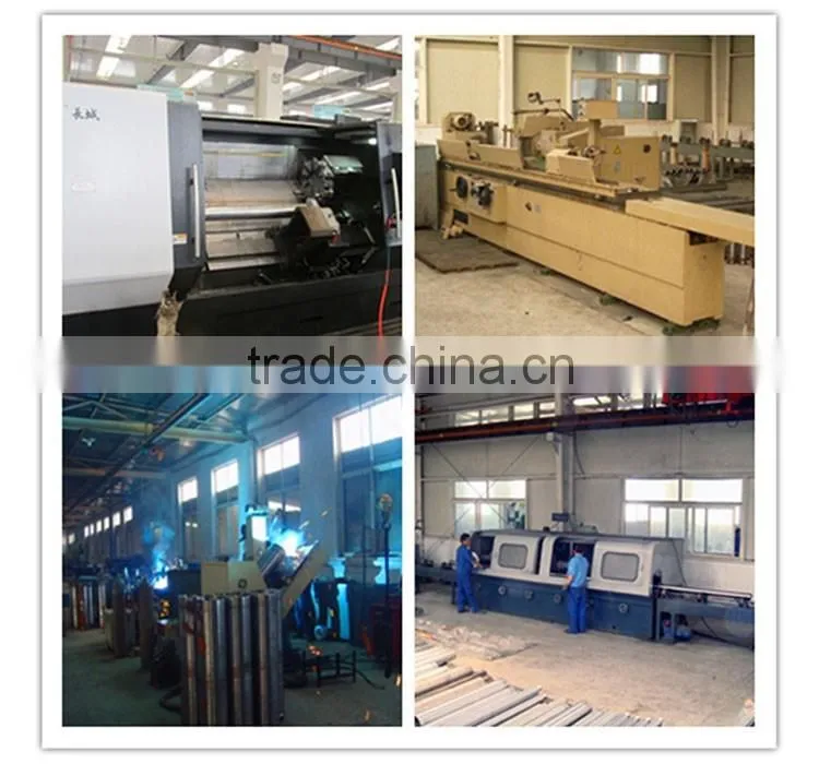 Forestry Machinery/Planting Machine/Digging Machine/Hydraulic cylinder