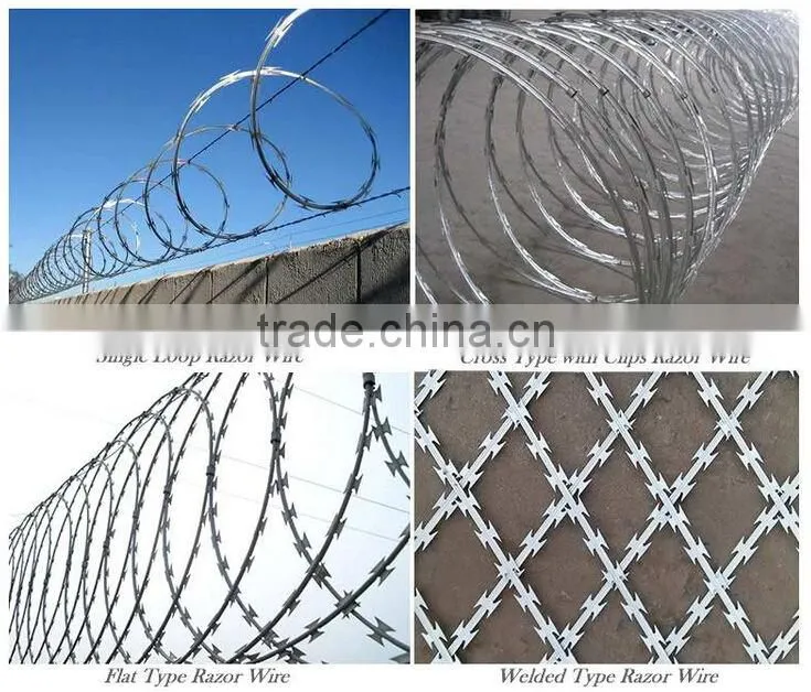 Electro-galvanized razor wire/razor barbed wire mesh fence with surprise price