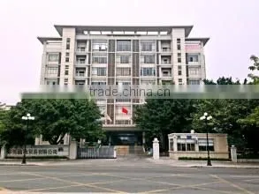 Dongguan Biaochi Trading Co., Ltd. company overview - view 1