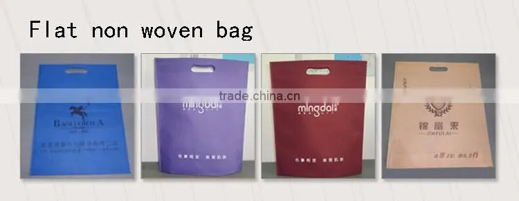 China bag supplier ladies bag new type of carry non woven shopping bag