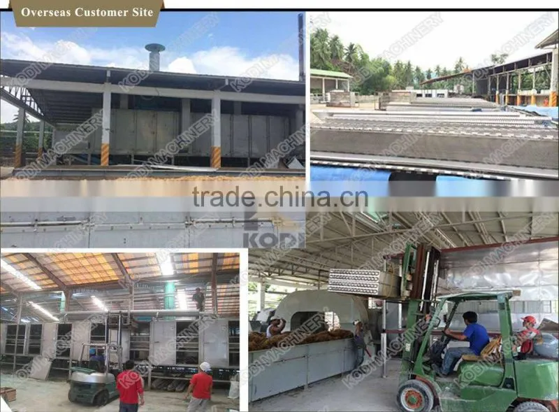 DW Continous Seaweed Mesh Belt Drying Equipment