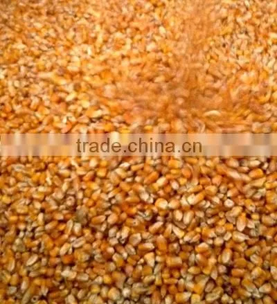 electric corn mill grinder