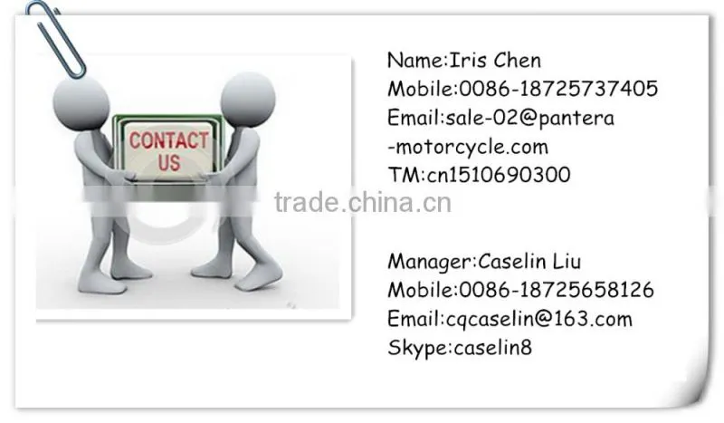 PT-625 Perfect Design ABS Material Motorcycle Helmet
