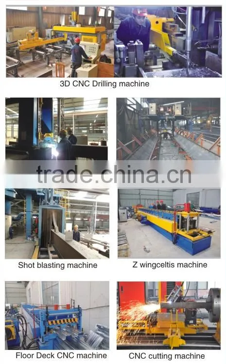 Customized steel structure/warehouse workshop canapy building/Steel Structure shopping mall