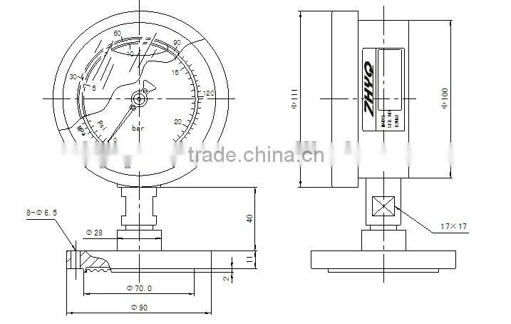 Diaphragm pressure gauge with flange mount DN